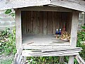 Picture Title - Very very old spirit house