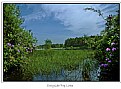 Picture Title - Cragside Top Lake