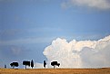 Picture Title - Val d'Orcia - Italy