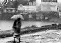 Picture Title - Looking Through The Rain