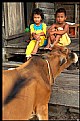 Picture Title - Twins With Cow 2