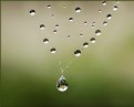 Picture Title - A Drop of Faith