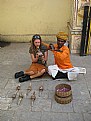 Picture Title - snake charmer