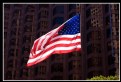 Picture Title - Bank of America Flag