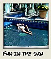 Picture Title - Fun in the sun