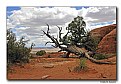 Picture Title - Arches National Park (d3610)