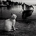 Picture Title - ...portrait with a boat...