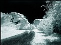 Picture Title - August Infrared