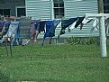 Picture Title - Amish Wash Day
