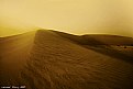 Picture Title - desert