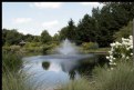 Picture Title - GARDEN POND