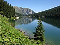 Picture Title - Arnensee
