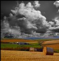 Picture Title - harvesting on the high fells