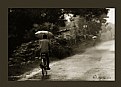 Picture Title - A Rainy Day