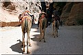 Picture Title - Journey to Jordan (2.)