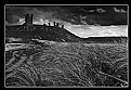 Picture Title - Dunstanburgh.