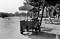 Picture Title - "Parco degli Acquedotti" Rome