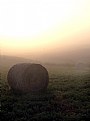 Picture Title - Misty bales 