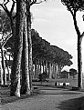 Picture Title - "Parco degli Acquedotti"