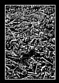 Picture Title - UNTITLED