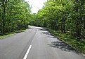 Picture Title - A road in Summer