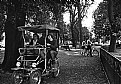 Picture Title - Villa Borghese - Rome