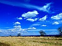 Picture Title - blue sky and clouds