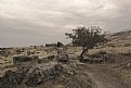 Picture Title - Roman Necropolis Pammukale