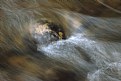 Picture Title - Water Over Spotted Rock