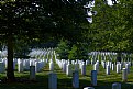 Picture Title - Arlington National Cemetery