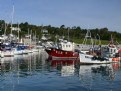 Picture Title - September Morning ~ Lyme Regis Harbour