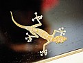 Picture Title - gecko