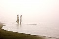 Picture Title - beach under fog