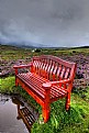 Picture Title - bench