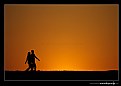 Picture Title - ..::Into the sunset::..