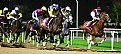 Picture Title - HORSE RACE IN DUBAI