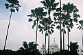 Picture Title - Kolkata