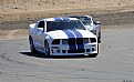 Picture Title - ROUSH MUSTANG