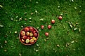 Picture Title - apples