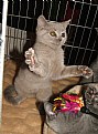 Picture Title - Call me Master