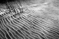 Picture Title - Sand