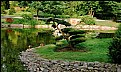 Picture Title - Japanese Garden