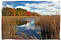 Picture Title - An Autumn Scene