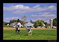 Picture Title - Amish Farm (d4011)