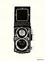 Picture Title - rolleiflex