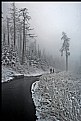 Picture Title - A snowy journey