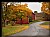 Fall at every turn in the road.