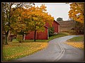 Picture Title - Fall at every turn in the road.