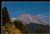 Shasta in October