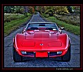 Picture Title - Red Stingray